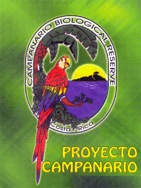 CampanarioLogo copy