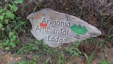 2016 Web PhotoIMG_0657